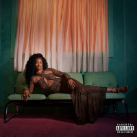 ARI LENNOX VACANCY STD VINYL